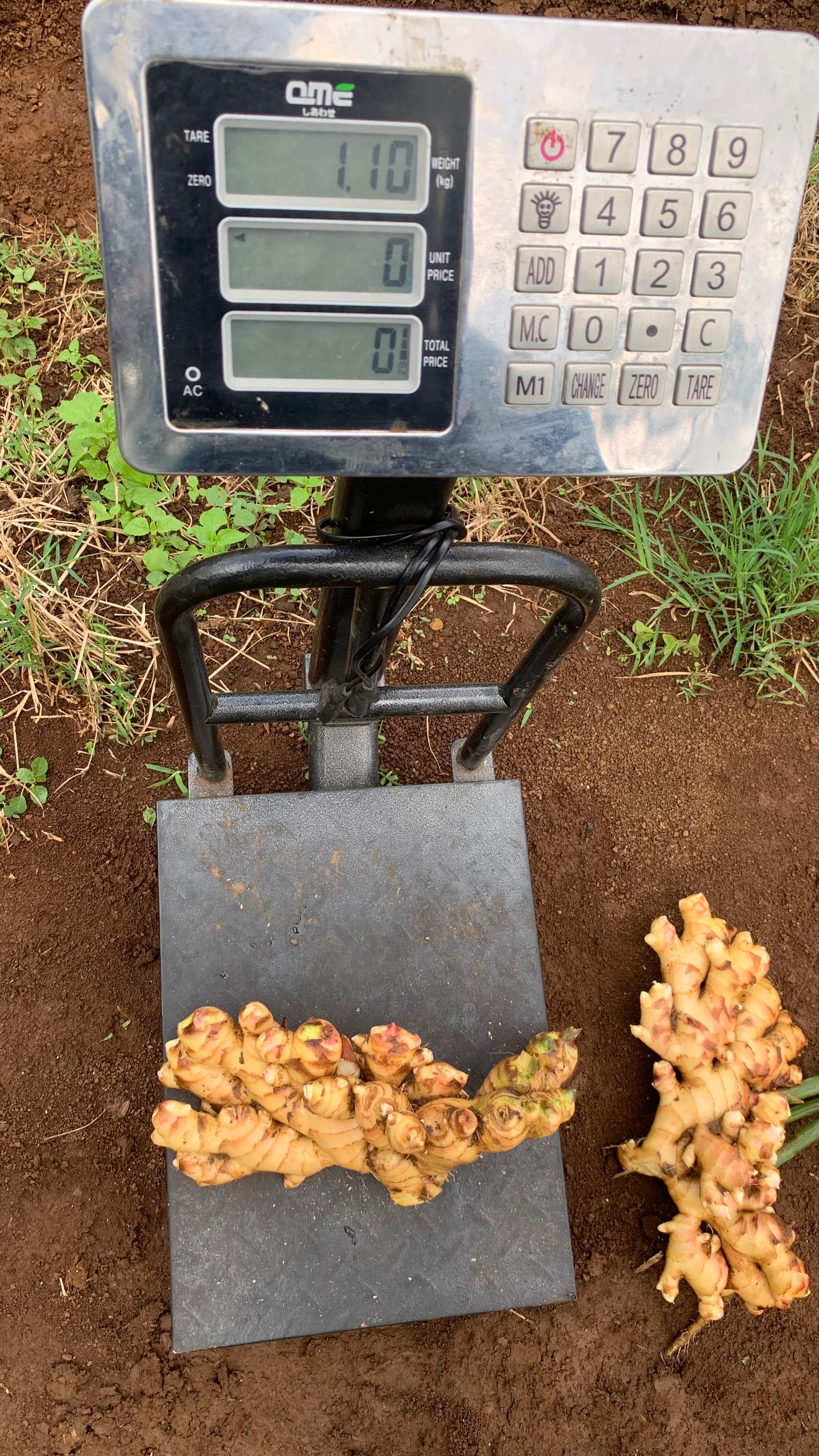 Difarmagro Raih Sertifikasi Standar Ekspor Internasional